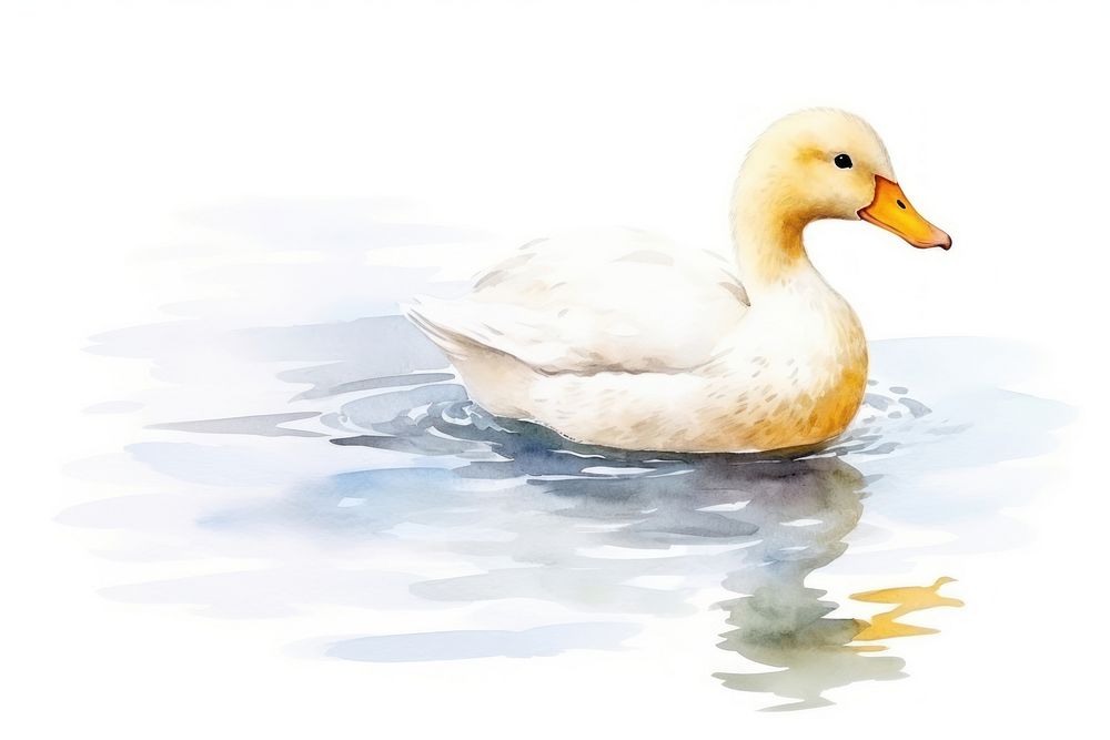 Duck animal yellow white. AI generated Image by rawpixel.