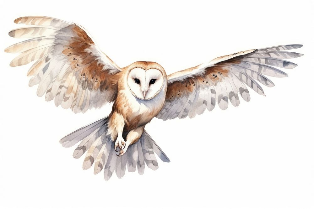 Owl animal flying bird. AI generated Image by rawpixel.