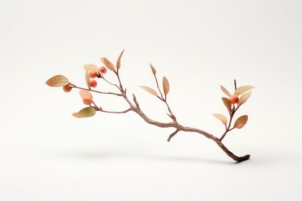Tree blossom branch flower. AI generated Image by rawpixel.