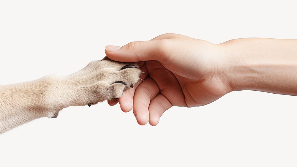 Hand mammal animal finger. AI generated Image by rawpixel.