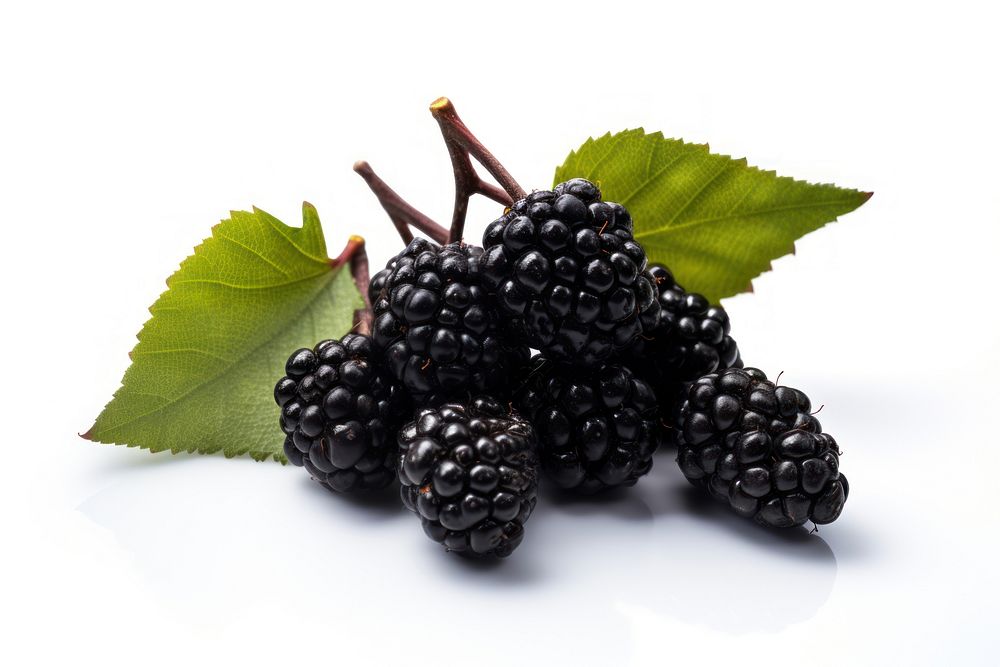 Berry blackberry fruit plant. AI generated Image by rawpixel.