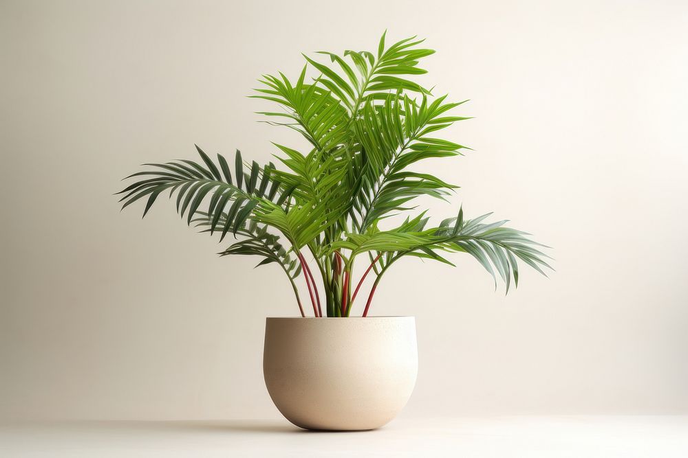 Plant houseplant leaf vase. 