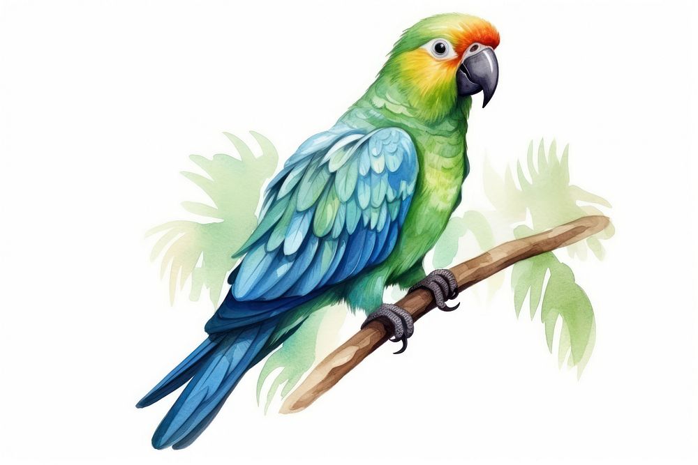 Parrot animal bird budgerigar. AI generated Image by rawpixel.