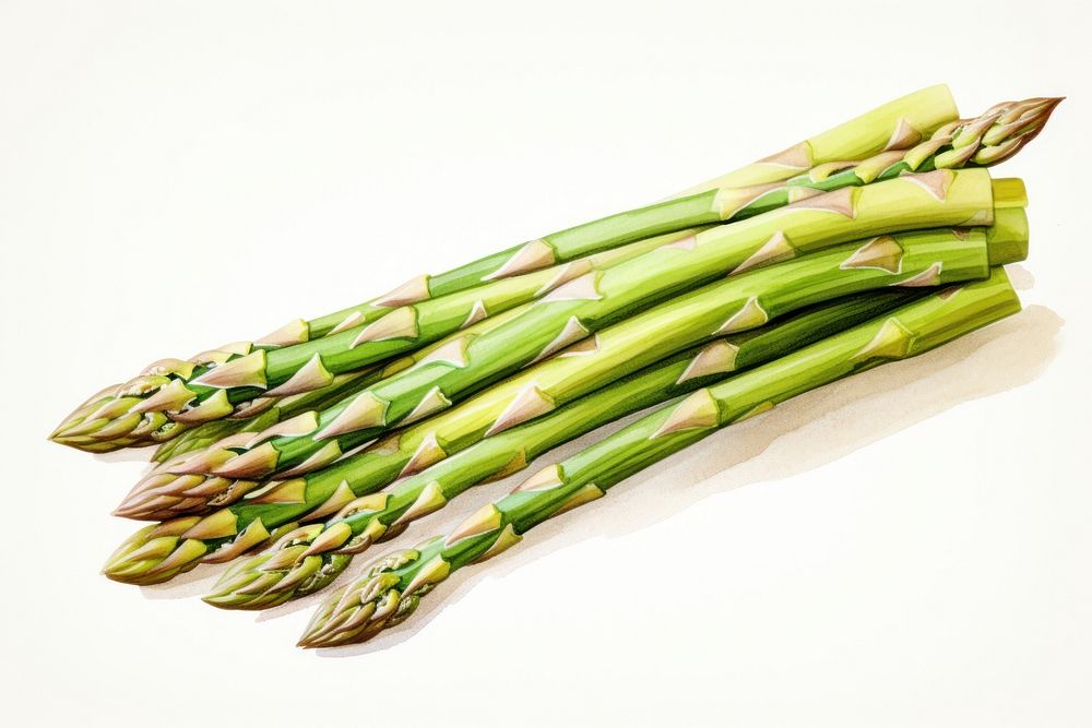 Asparagus vegetable plant food. AI generated Image by rawpixel.