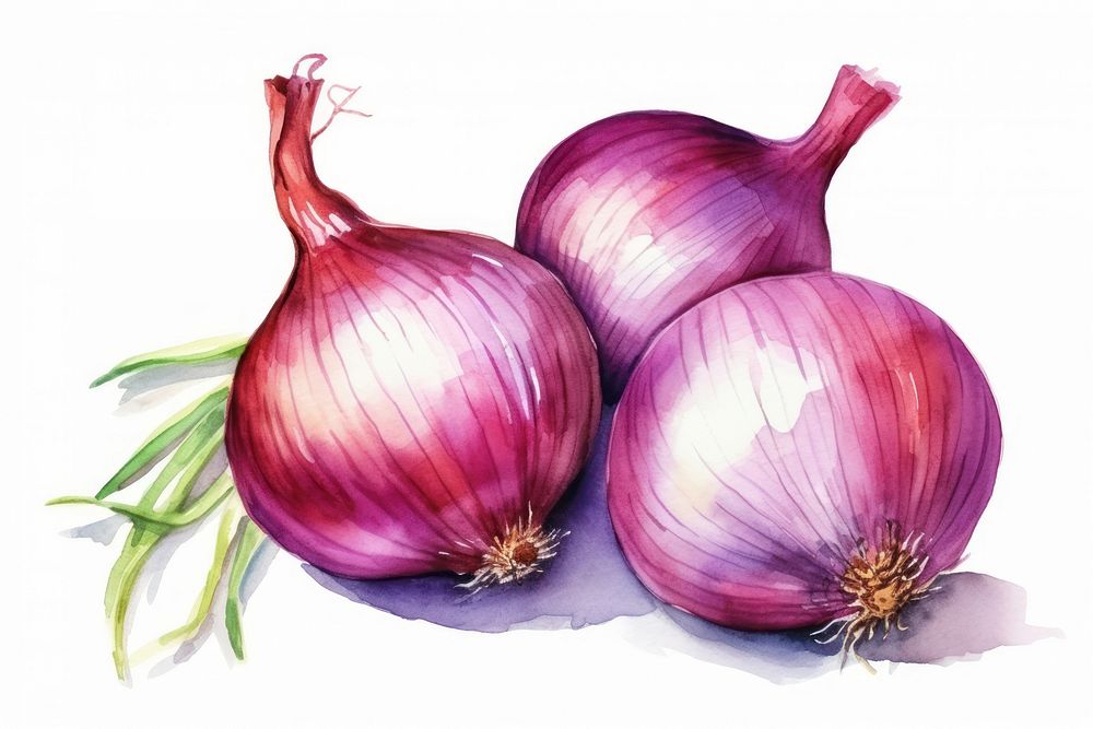 Onion vegetable shallot plant. AI generated Image by rawpixel.