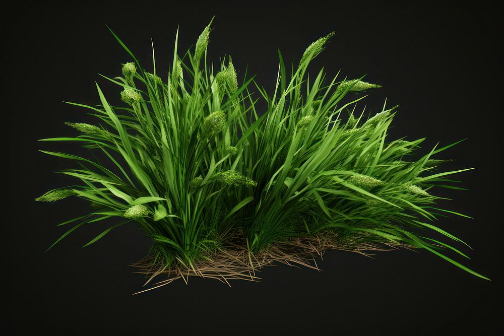 Grass plant green wheatgrass. AI generated Image by rawpixel.