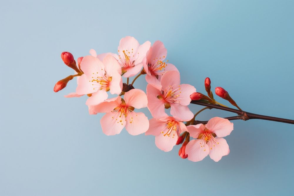 Blossom flower pollen plant. AI generated Image by rawpixel.