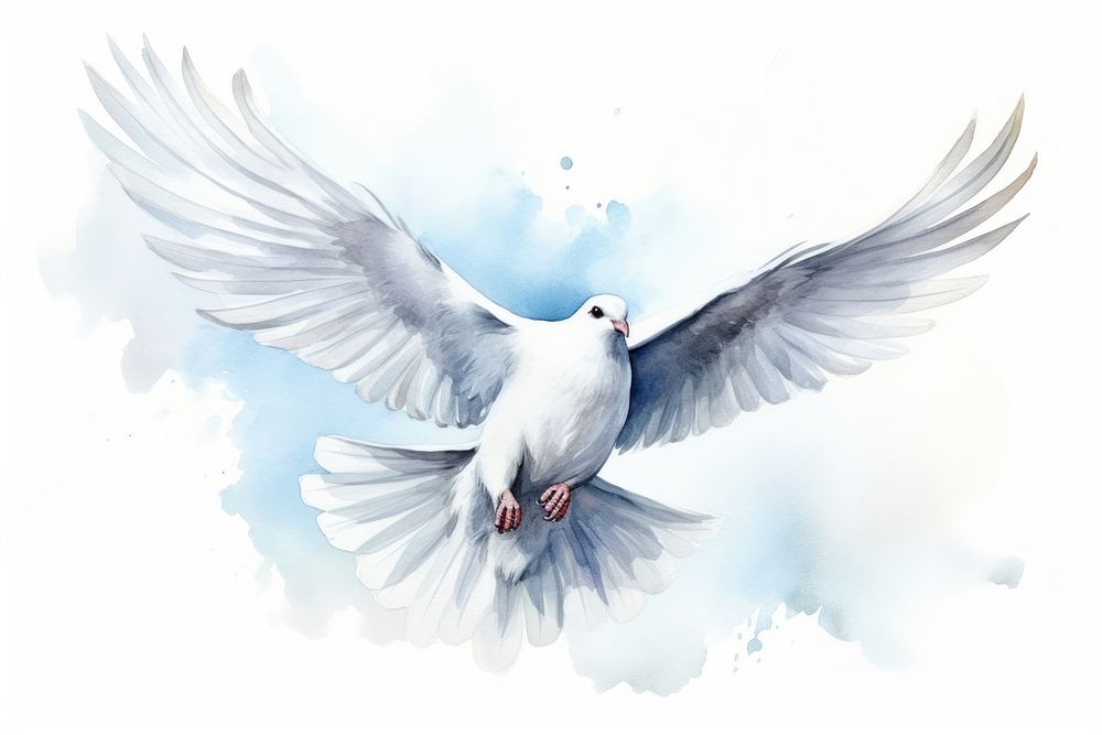 Animal bird dove creativity. AI generated Image by rawpixel.