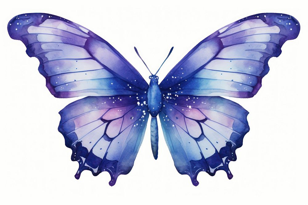 Butterfly animal insect invertebrate. AI generated Image by rawpixel.