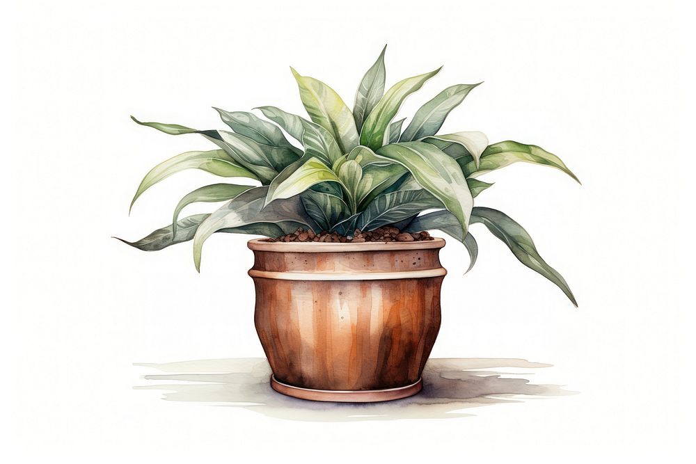 Plant leaf houseplant terracotta. AI generated Image by rawpixel.