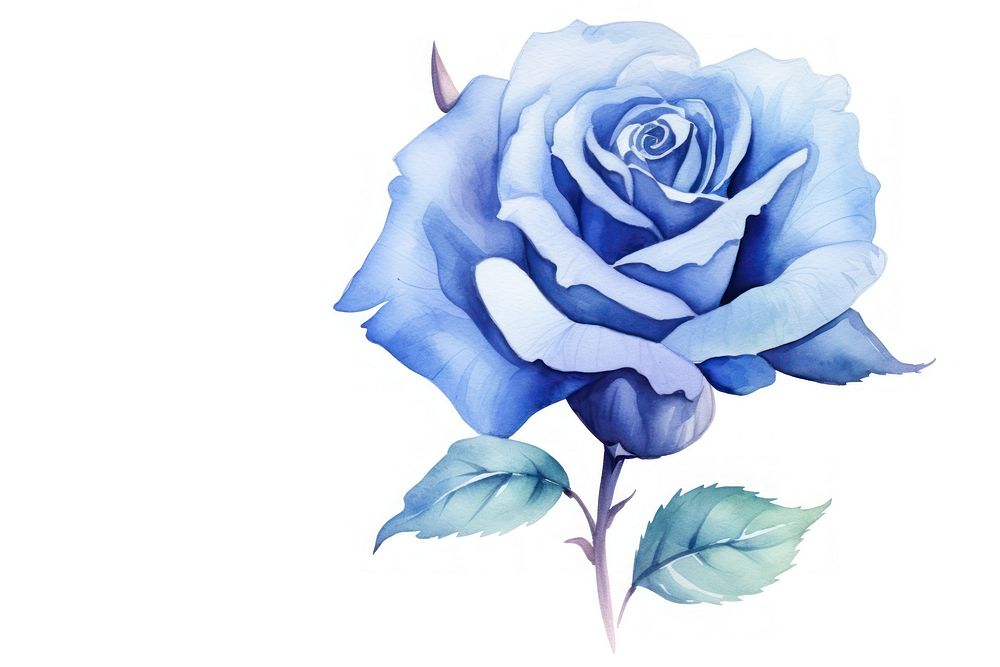 Flower rose plant blue. AI generated Image by rawpixel.