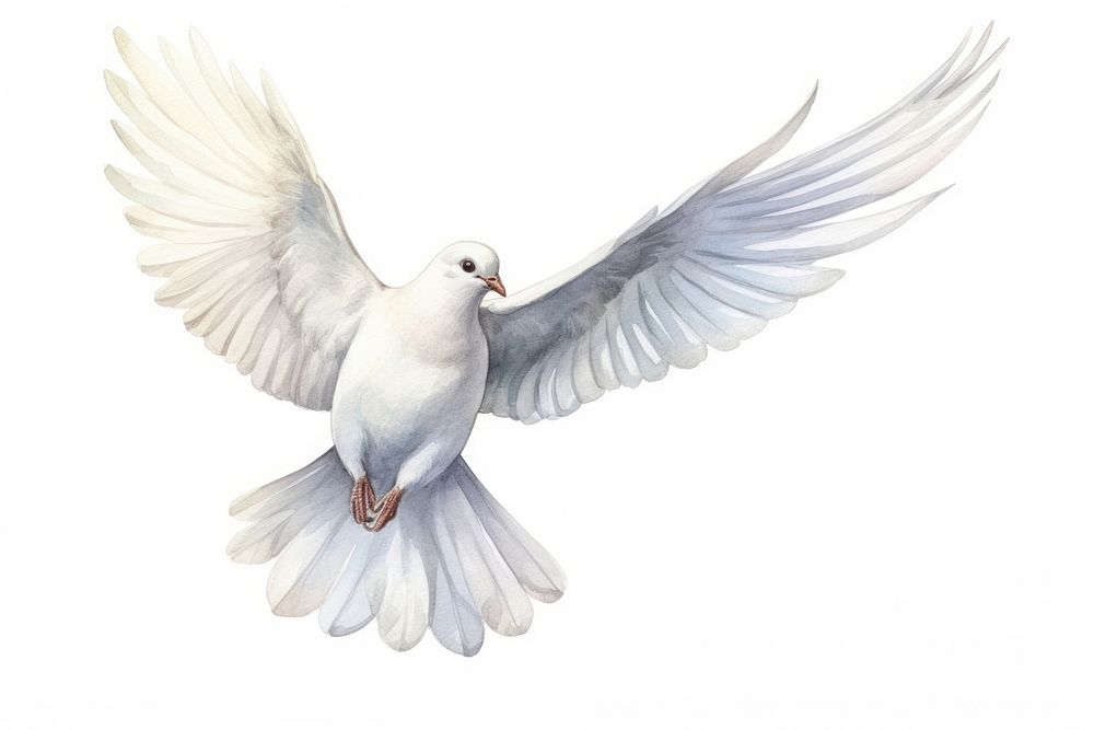 Animal white bird dove. AI generated Image by rawpixel.