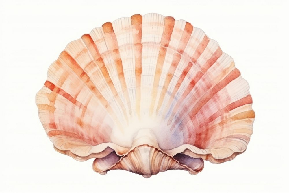 Seashell seafood clam invertebrate. AI generated Image by rawpixel.