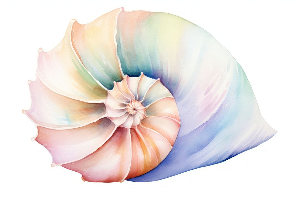 Spiral shell conch invertebrate. AI generated Image by rawpixel.
