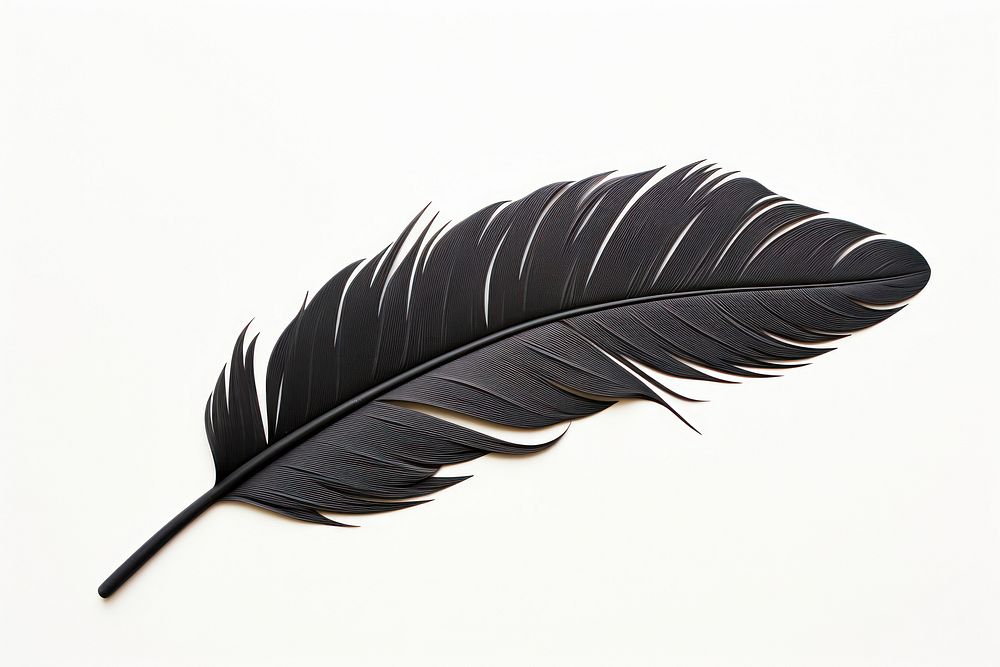 Feather plant black leaf. AI generated Image by rawpixel.