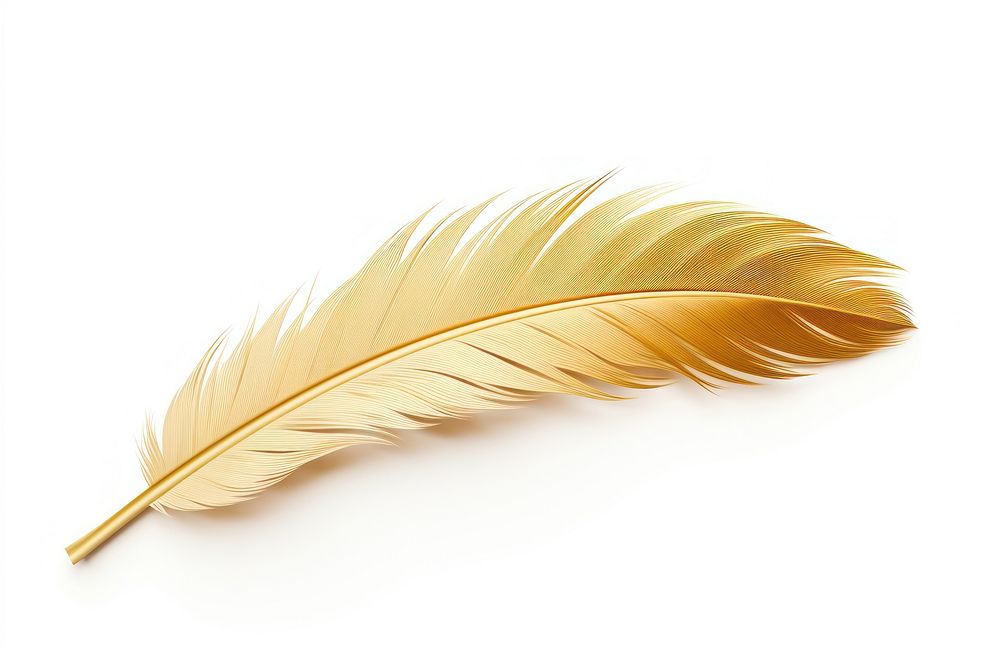 Feather leaf white background invertebrate. AI generated Image by rawpixel.
