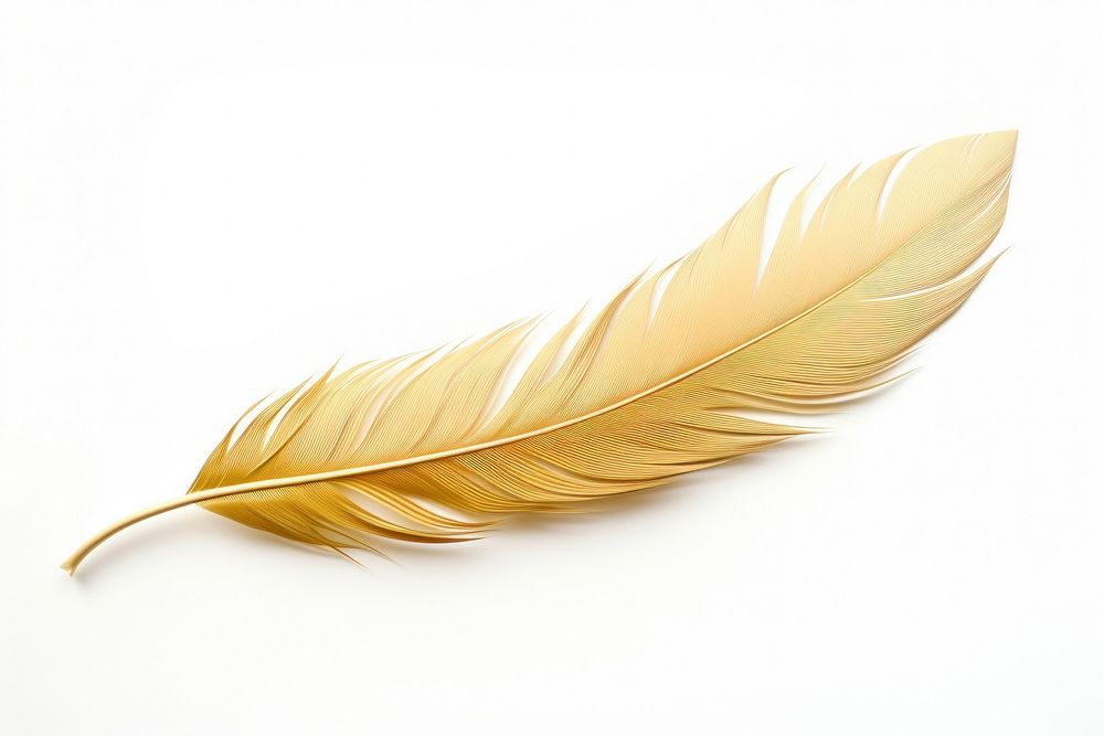 Feather leaf white background lightweight. AI generated Image by rawpixel.
