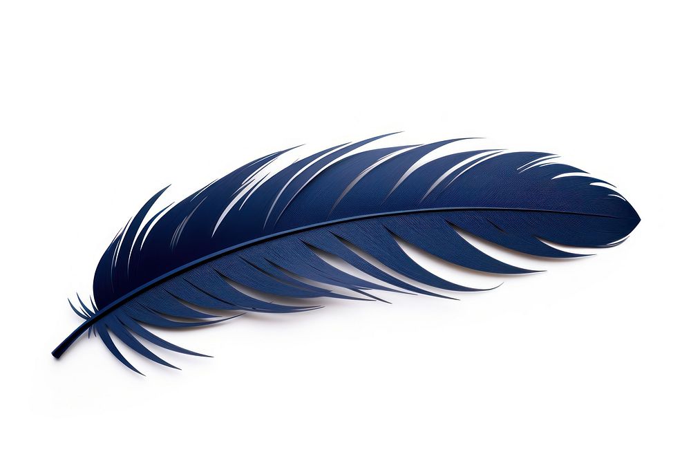 Feather blue art white background. AI generated Image by rawpixel.