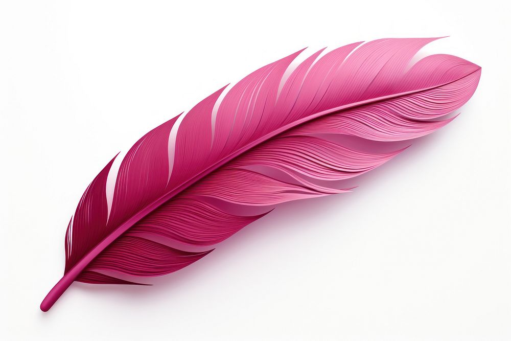 Feather plant leaf bird. AI generated Image by rawpixel.