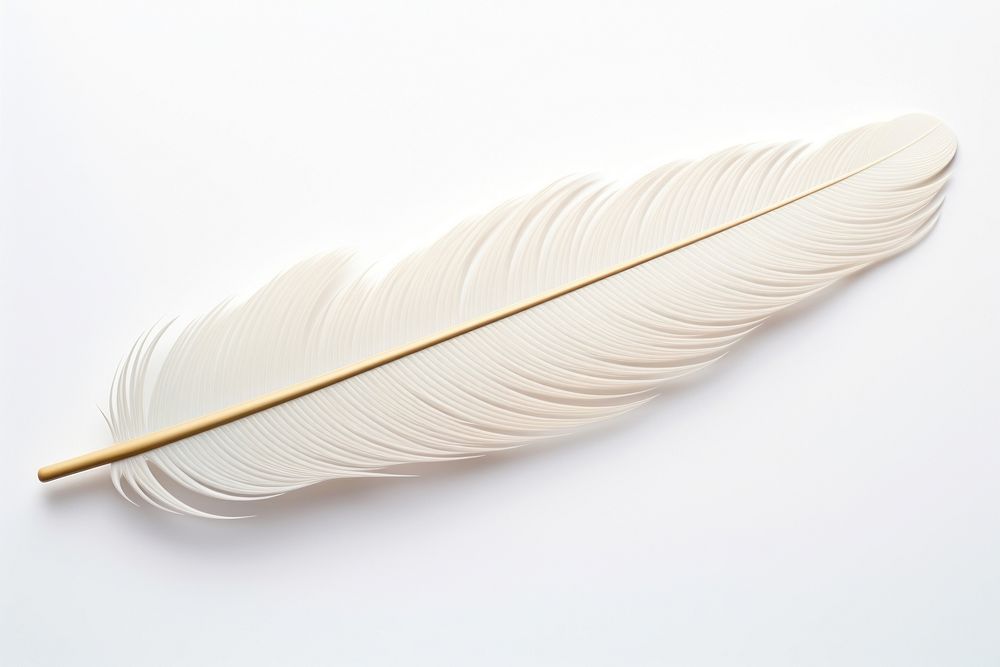 Feather white white background lightweight. AI generated Image by rawpixel.