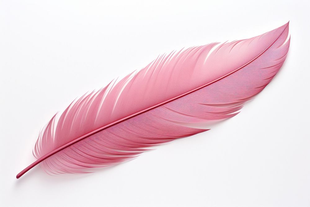 Feather leaf red art. AI generated Image by rawpixel.