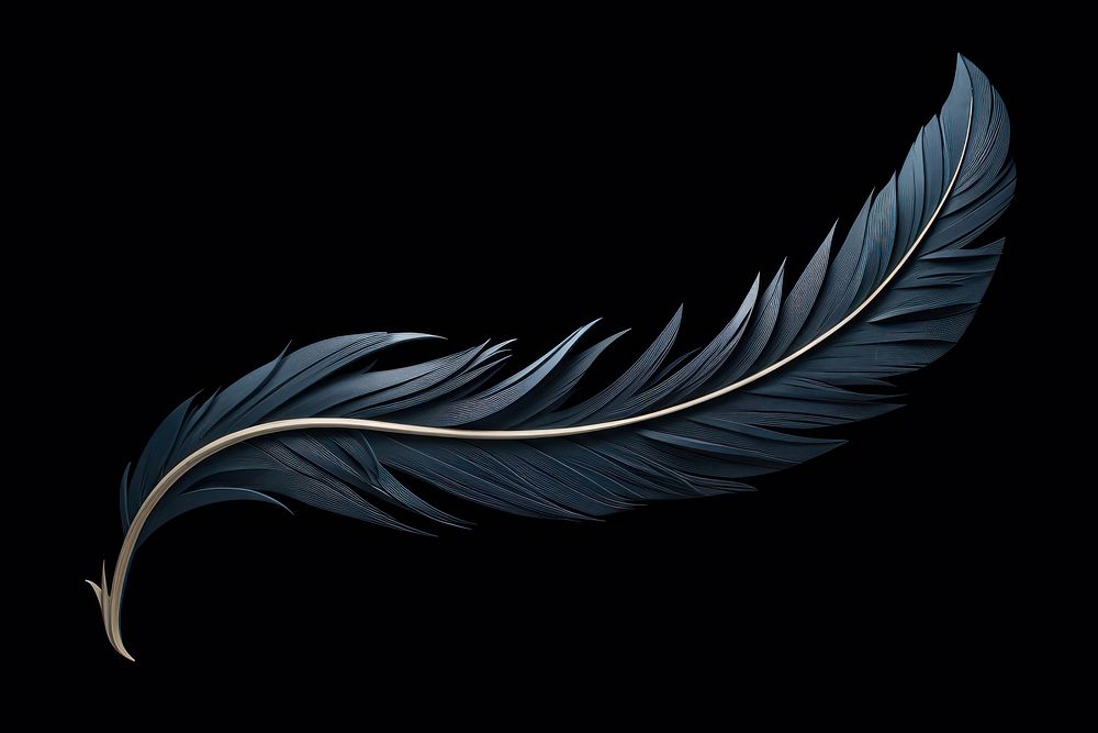 Feather lightweight softness darkness. AI generated Image by rawpixel.