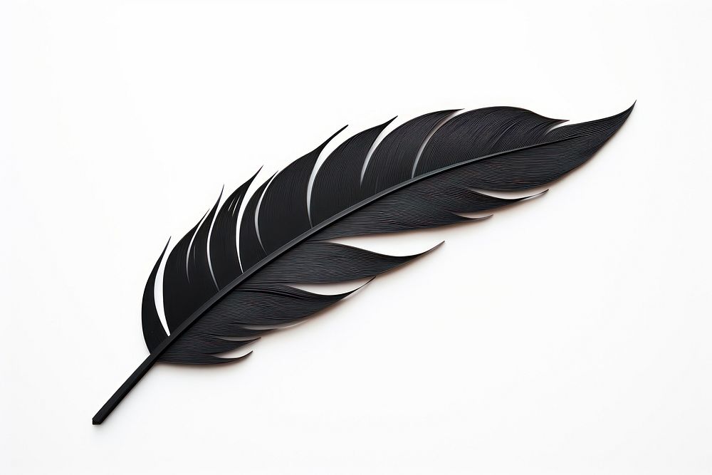 Feather plant black leaf. AI generated Image by rawpixel.
