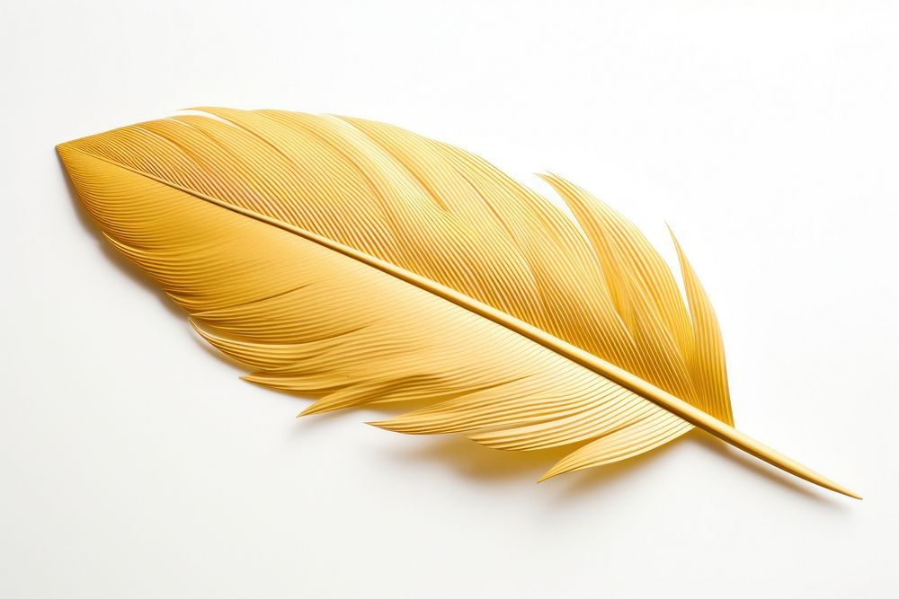 Feather leaf white background lightweight. AI generated Image by rawpixel.