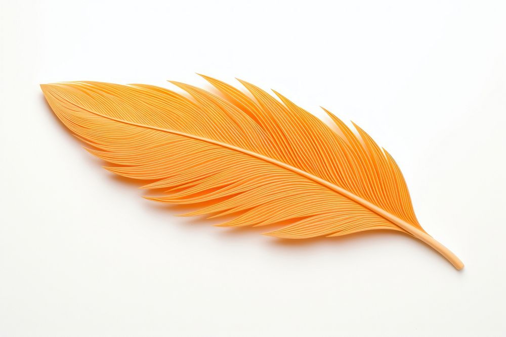 Feather plant leaf art. AI generated Image by rawpixel.