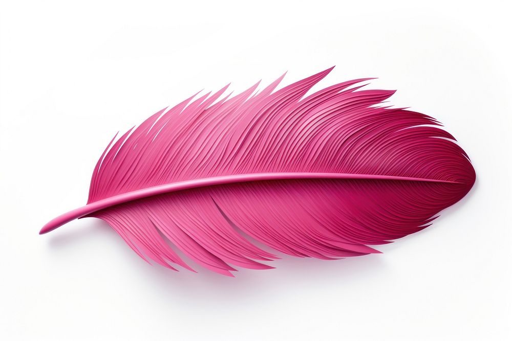 Feather red art white background. AI generated Image by rawpixel.