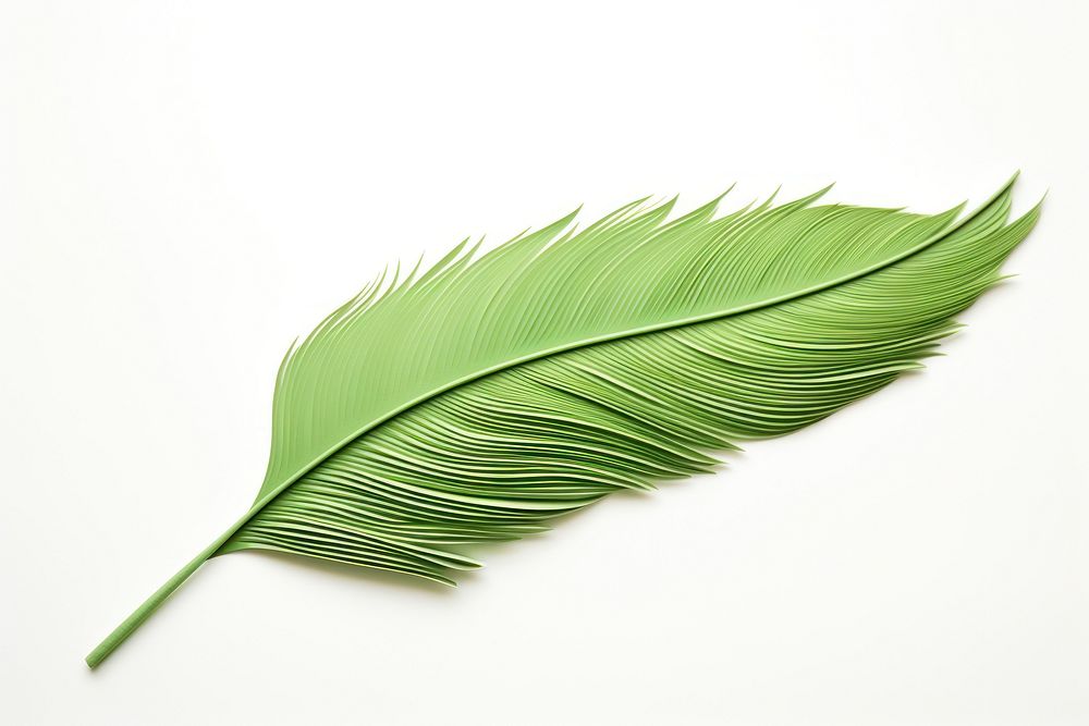 Feather plant green leaf. AI generated Image by rawpixel.