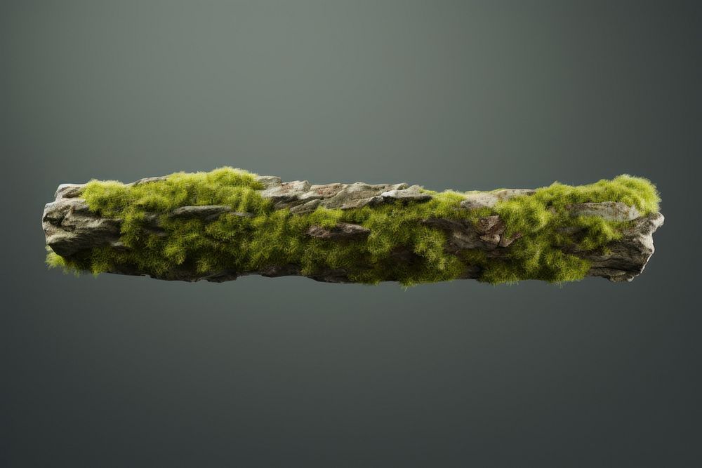 Moss nature plant algae. AI generated Image by rawpixel.