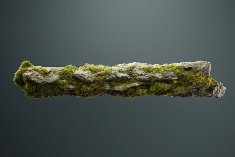 Moss plant algae tree. AI generated Image by rawpixel.