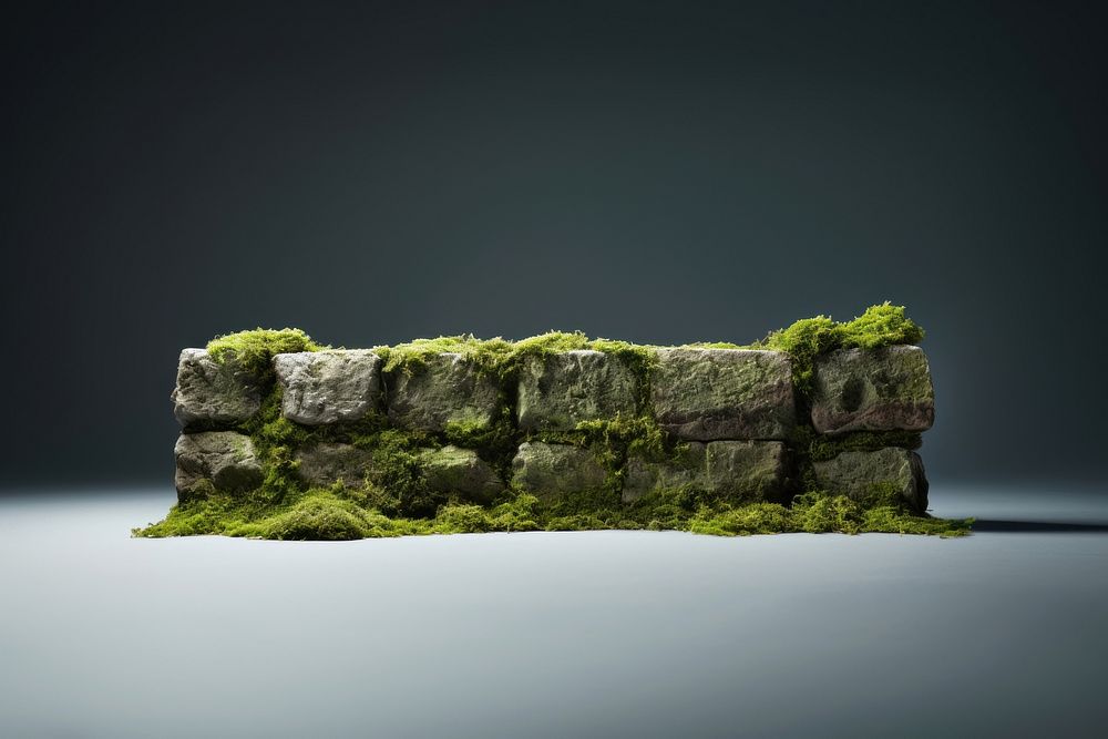 Moss nature plant rock. AI generated Image by rawpixel.