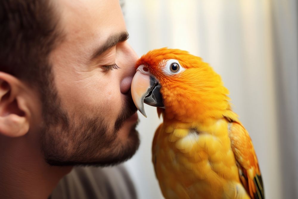 Kissing parrot animal adult. AI generated Image by rawpixel.