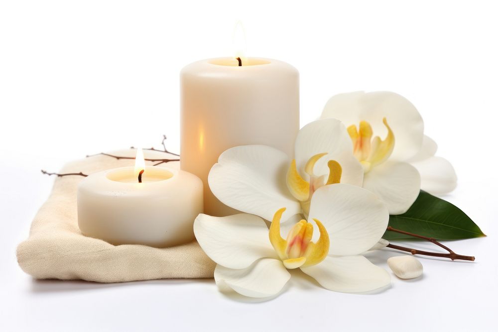 Candle flower plant white. AI generated Image by rawpixel.