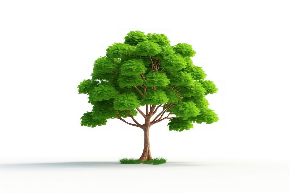 Tree outdoors nature plant. AI generated Image by rawpixel.