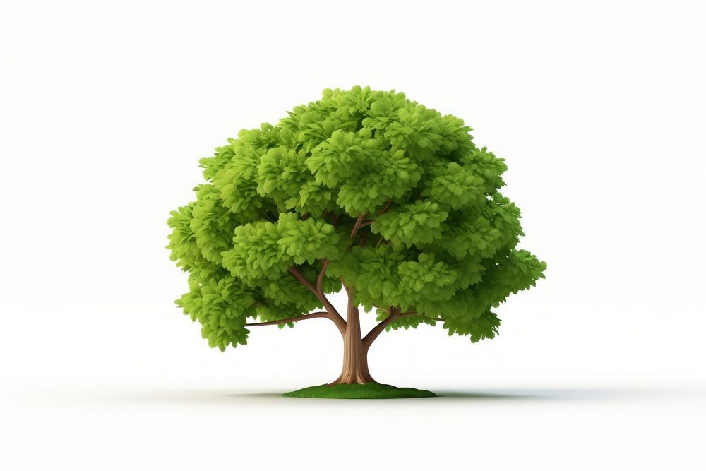 Tree outdoors plant white background. AI generated Image by rawpixel.