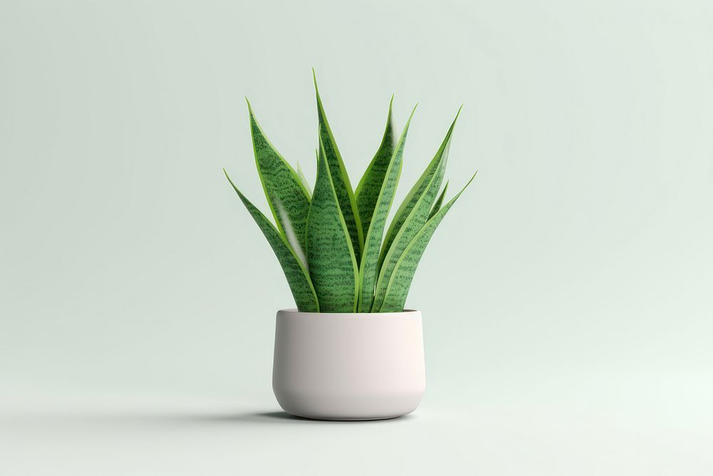 Plant leaf vase xanthorrhoeaceae. AI generated Image by rawpixel.