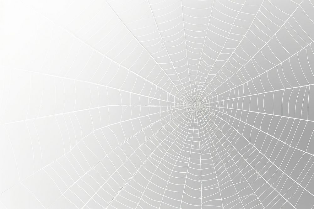 Backgrounds spider white complexity. 