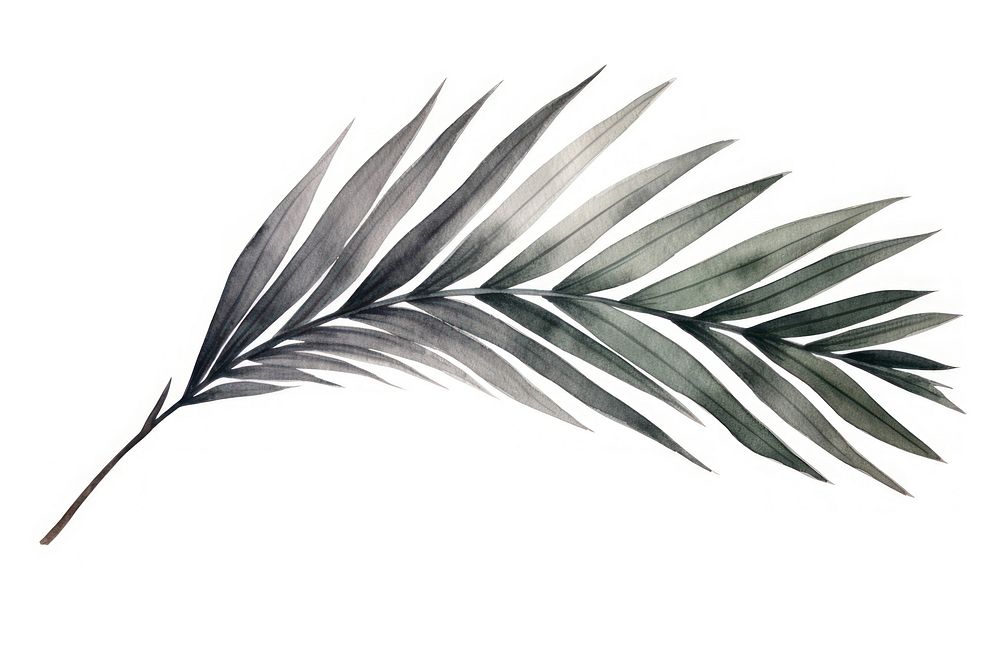 Sketch plant leaf illustrated. AI generated Image by rawpixel.