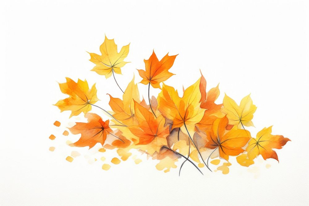 Leaves maple plant leaf. AI generated Image by rawpixel.