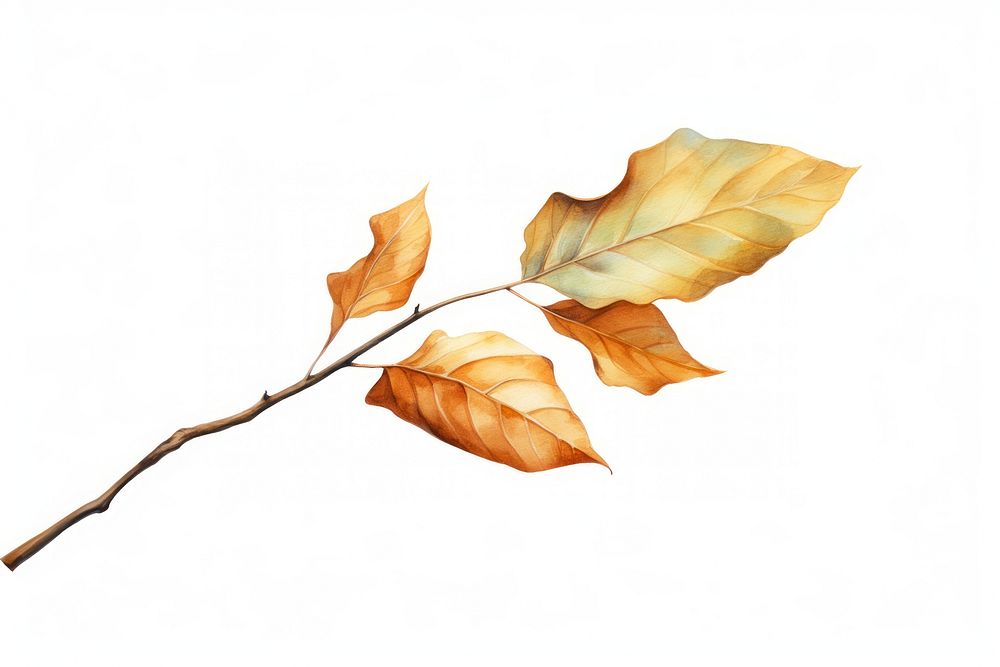Leaf tree branch plant. AI generated Image by rawpixel.