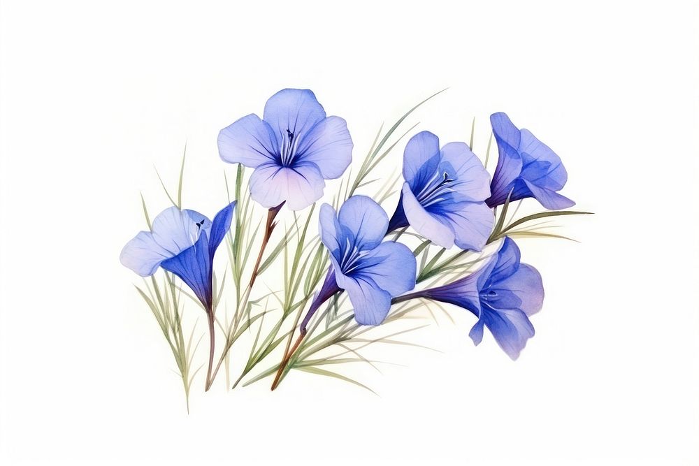 Flower plant flax inflorescence. AI generated Image by rawpixel.