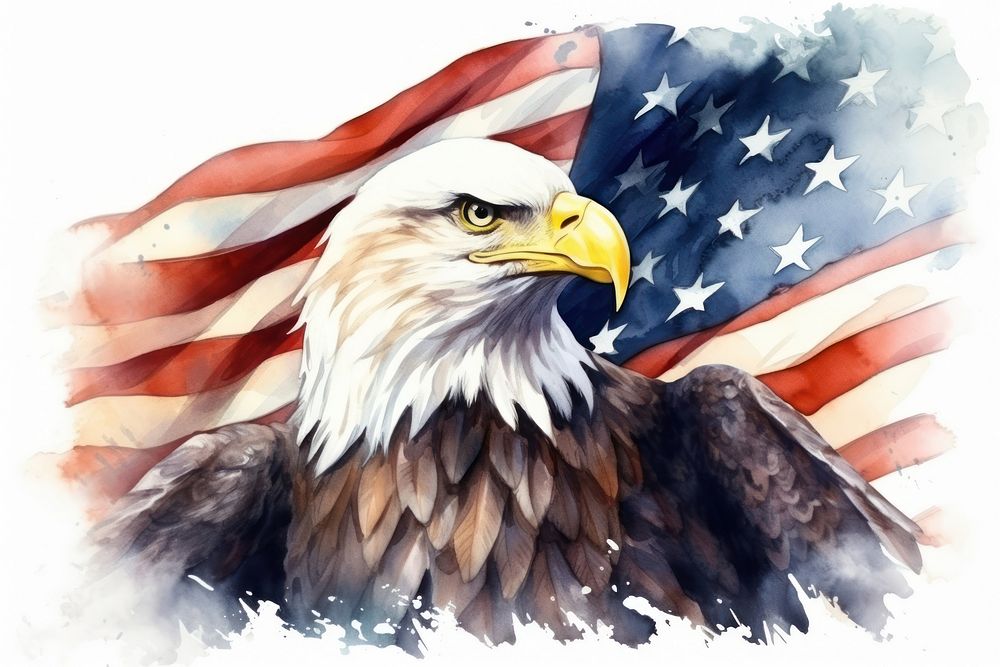 Flag Eagle Bird American Flag. 