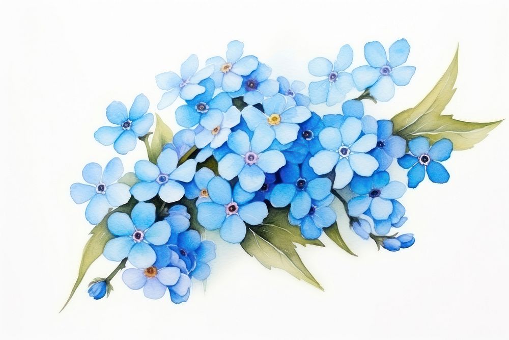 Flower plant forget-me-not inflorescence. AI generated Image by rawpixel.