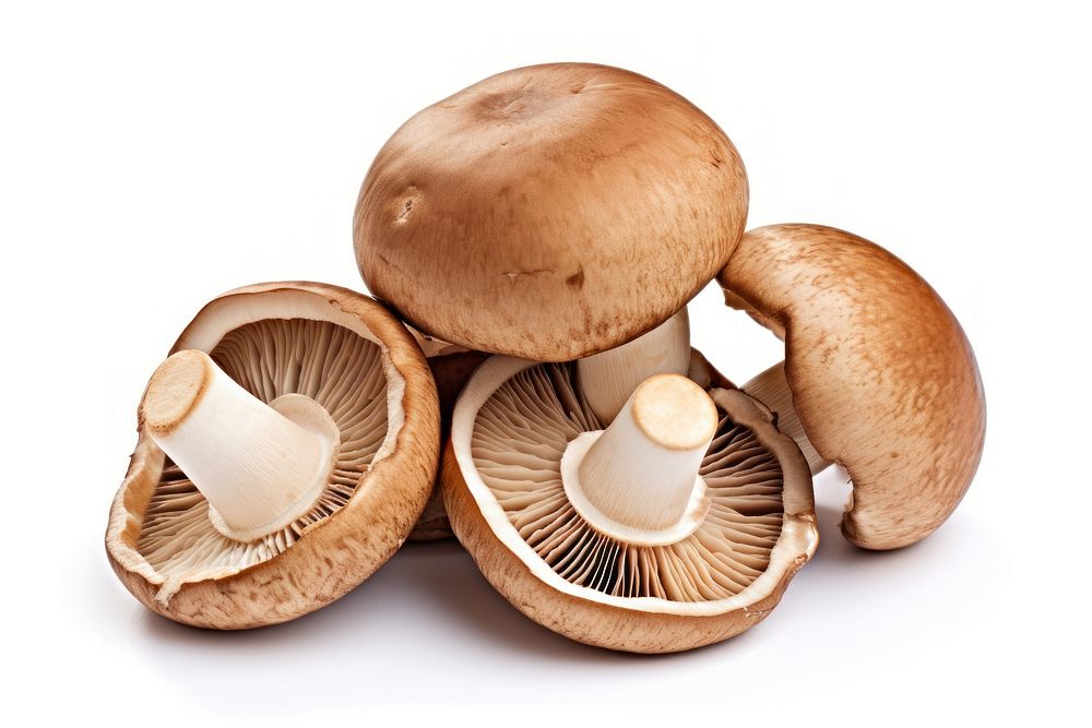 Mushroom fungus plant brown. AI generated Image by rawpixel.