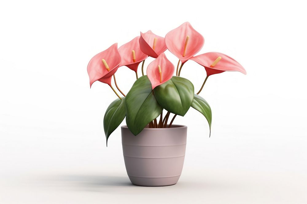 Flower flowerpot anthurium plant. AI generated Image by rawpixel.