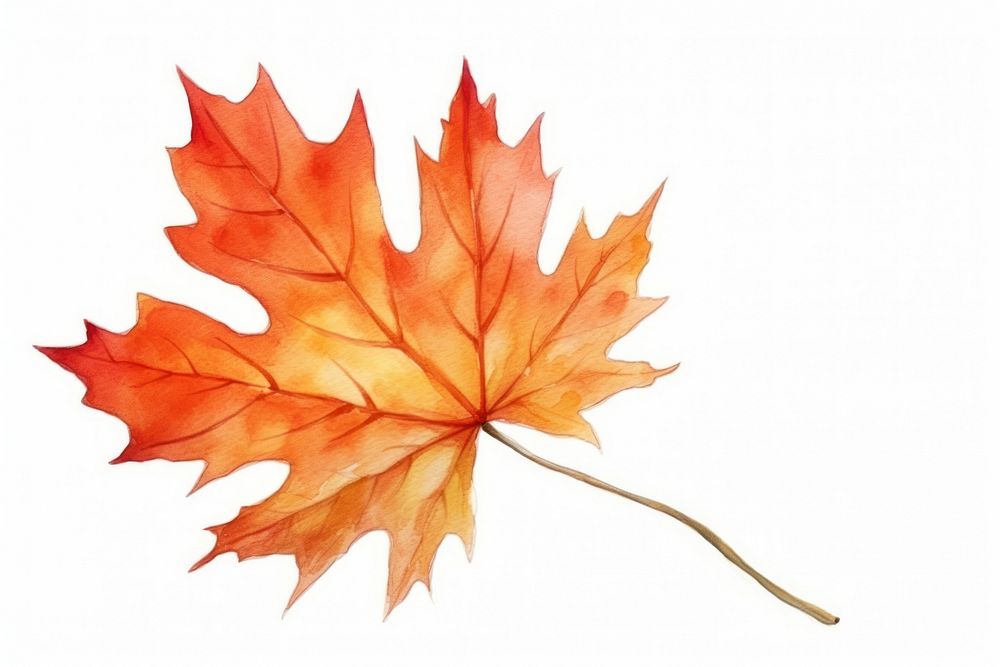 Autumn maple plant leaf. AI generated Image by rawpixel.