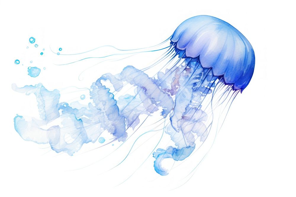 Jellyfish transparent blue invertebrate. AI generated Image by rawpixel.